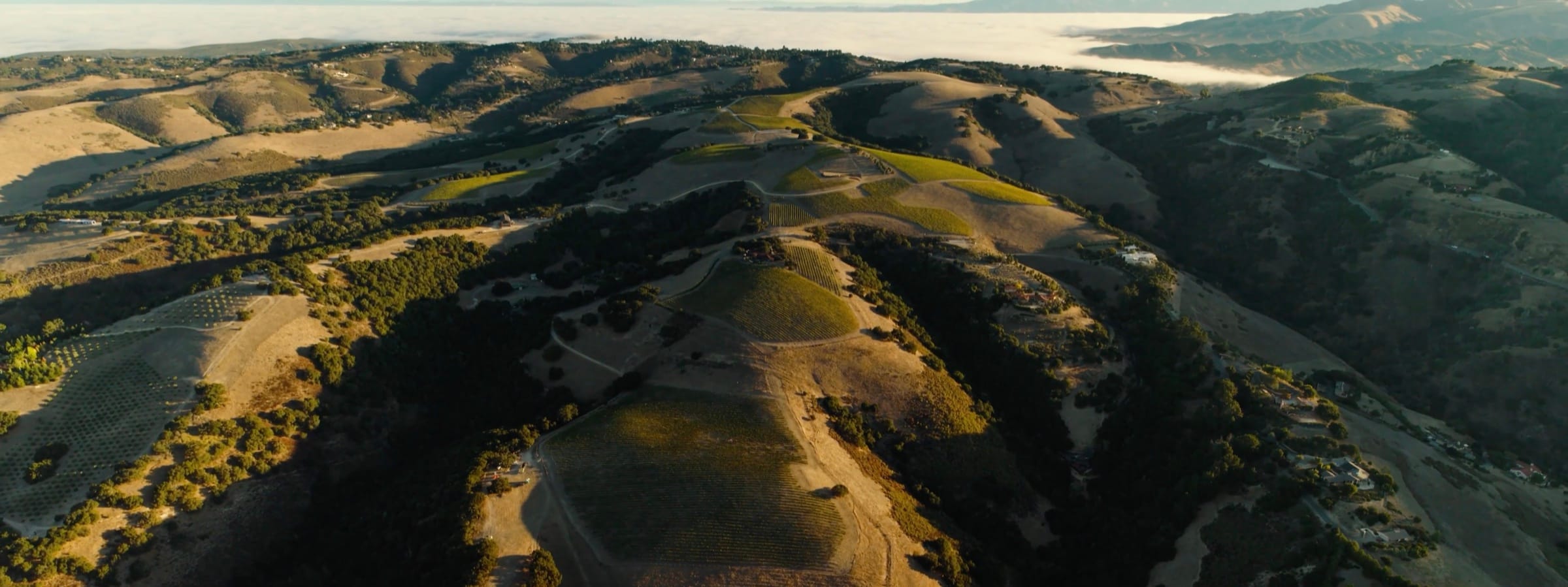 Aerial view of Diamond T Ranch estate and rolling vineyard hills